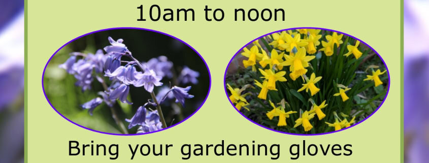 Community Bulb planting at Donnington Recreation Ground on Saturday 17 October 10am to noon. Bring your own trowel or planter. Park in the Recreation Ground car park accessed from Castle Lane.